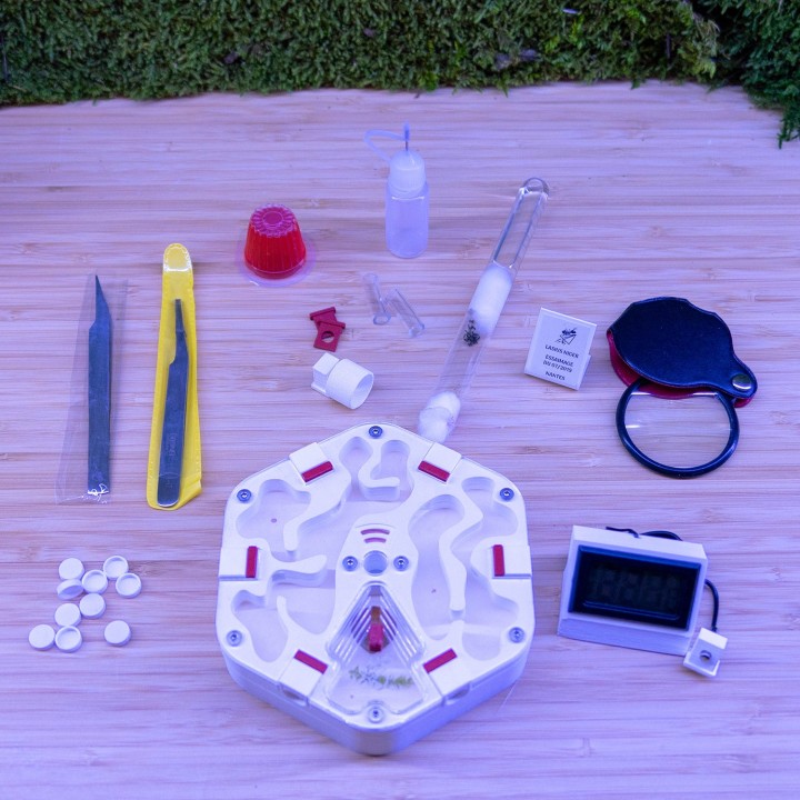 Coffret démarrage fourmis omnivores | FourmiCurieuse kit "tout en 1"