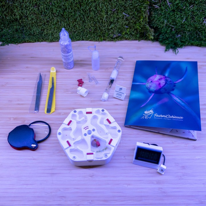 Coffret pédagogique élevage de fourmis en maternelle | FourmiCurieuse