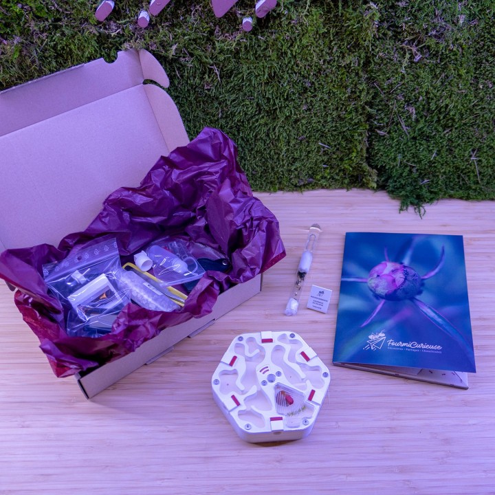 Coffret pédagogique élevage de fourmis en maternelle | FourmiCurieuse