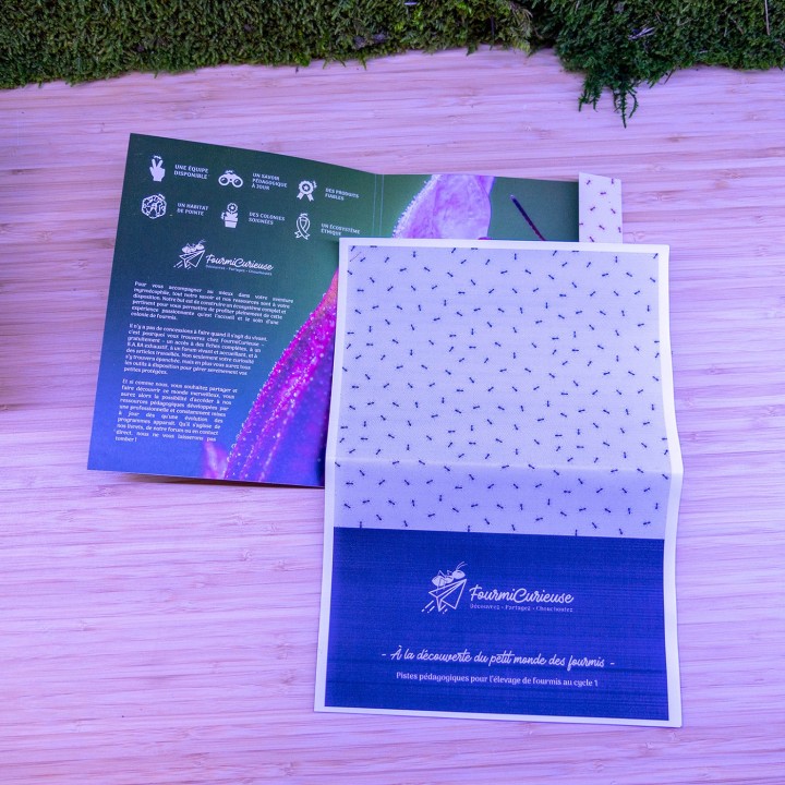 Coffret pédagogique élevage de fourmis en maternelle | FourmiCurieuse