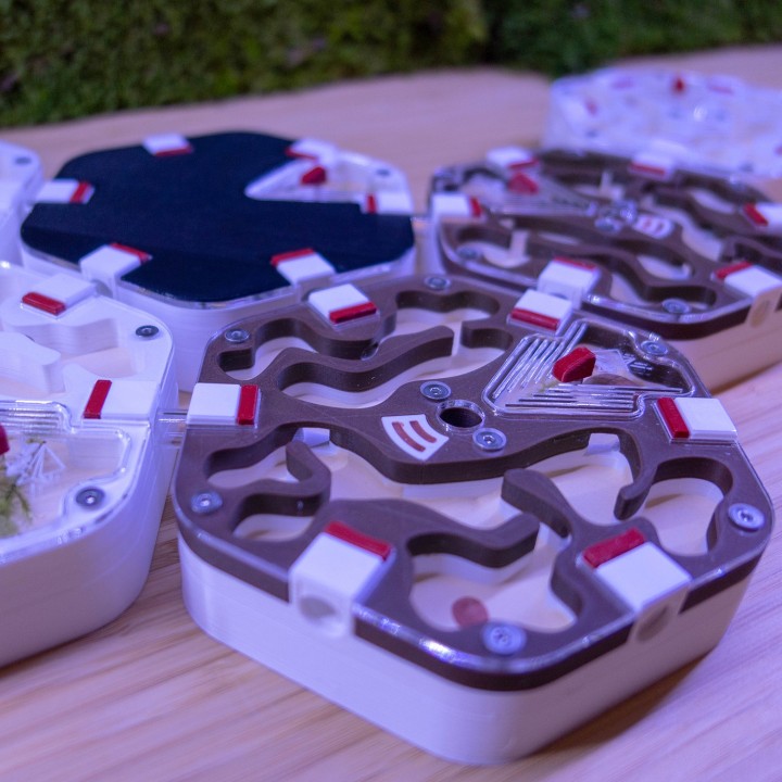 Alveo fonda : achetez une fourmilière artificielle modulable | FourmiCurieuse