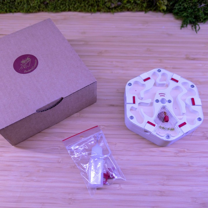 Alveo fonda : achetez une fourmilière artificielle modulable | FourmiCurieuse