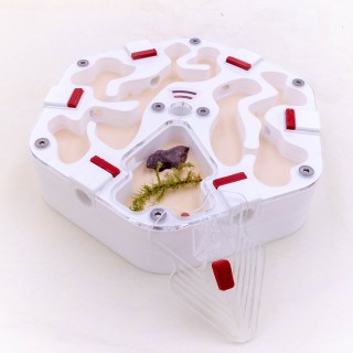 Alveo fonda : achetez une fourmilière artificielle modulable | FourmiCurieuse