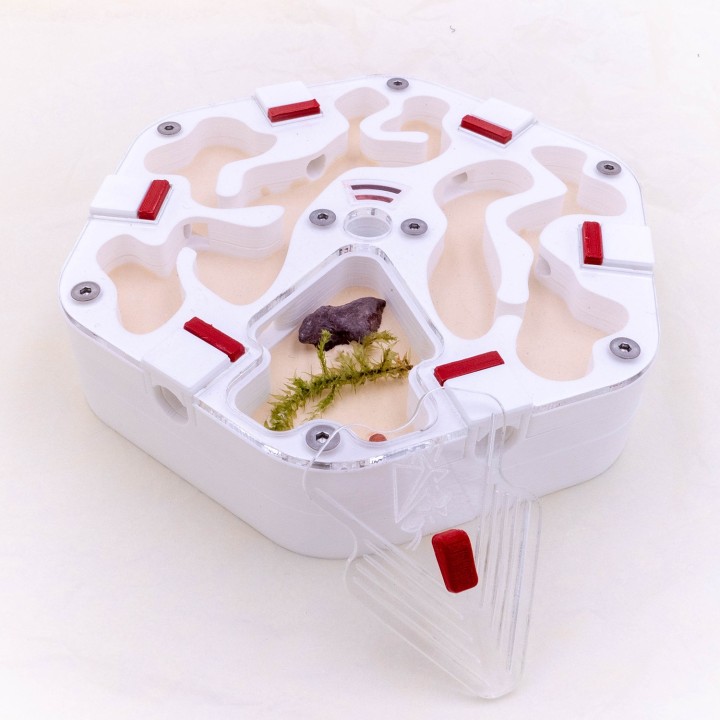 Alveo fonda : achetez une fourmilière artificielle modulable | FourmiCurieuse