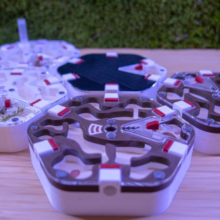 Alveo fonda : achetez une fourmilière artificielle modulable | FourmiCurieuse