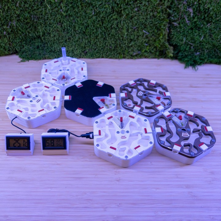 Alveo fonda : achetez une fourmilière artificielle modulable | FourmiCurieuse