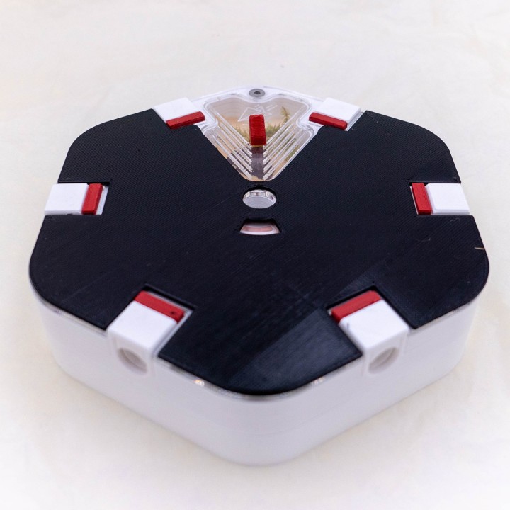 Cache pour fourmilière artificielle | Alveo fonda chez FourmiCurieuse