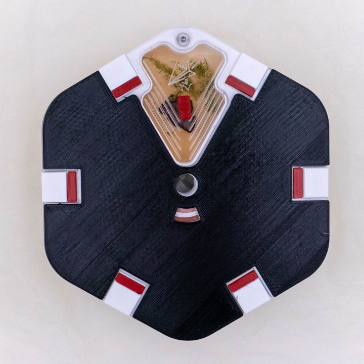 Cache pour fourmilière artificielle | Alveo fonda chez FourmiCurieuse