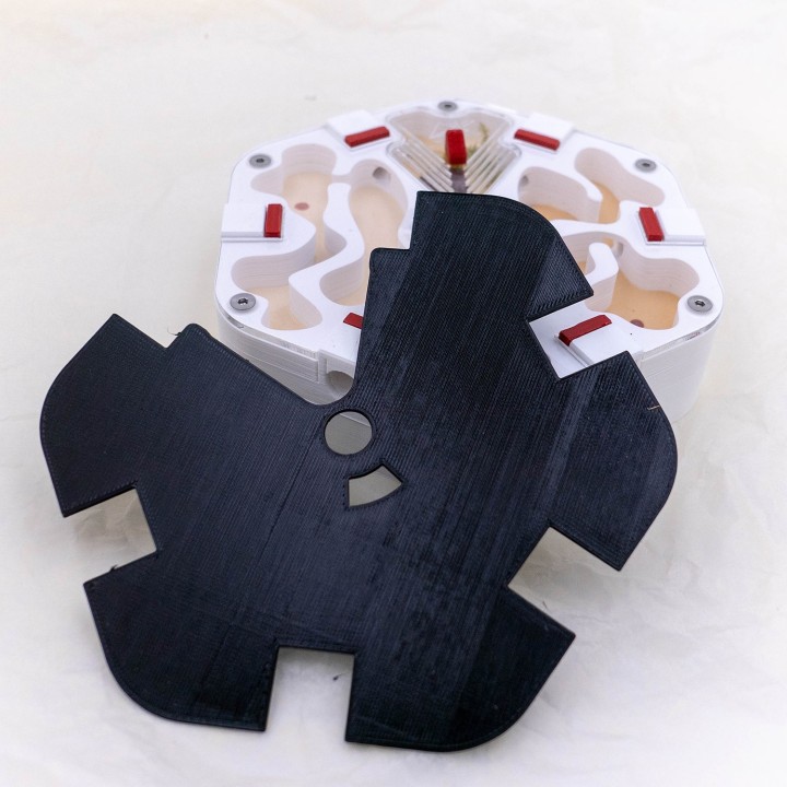 Cache pour fourmilière artificielle | Alveo fonda chez FourmiCurieuse