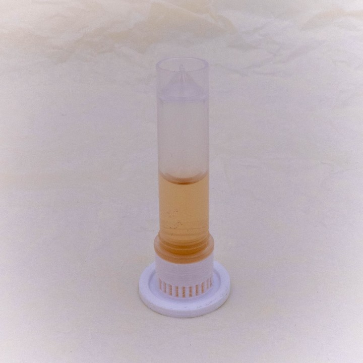 Abreuvoir anti-noyade 2mL | FourmiCurieuse