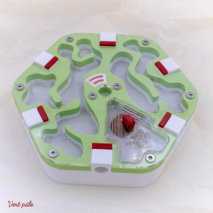 Coffret démarrage fourmis omnivores | FourmiCurieuse kit "tout en 1"