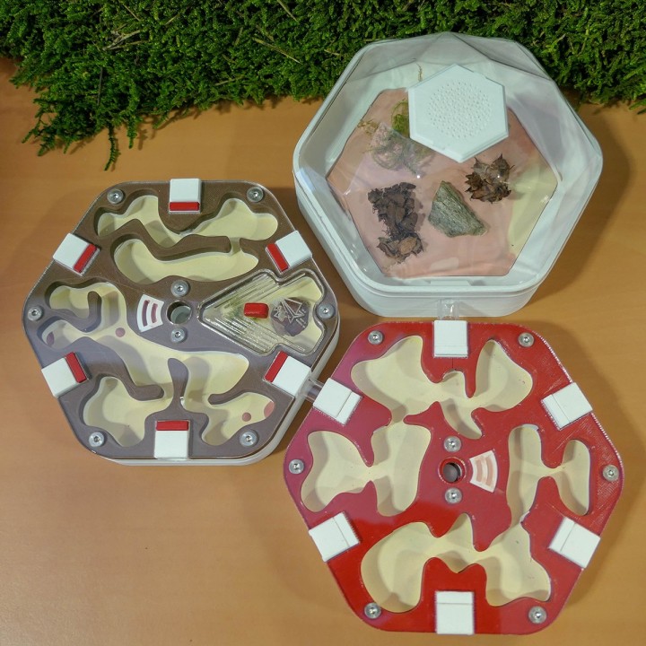 Alveo hydra : Fourmilière humide modulable | FourmiCurieuse