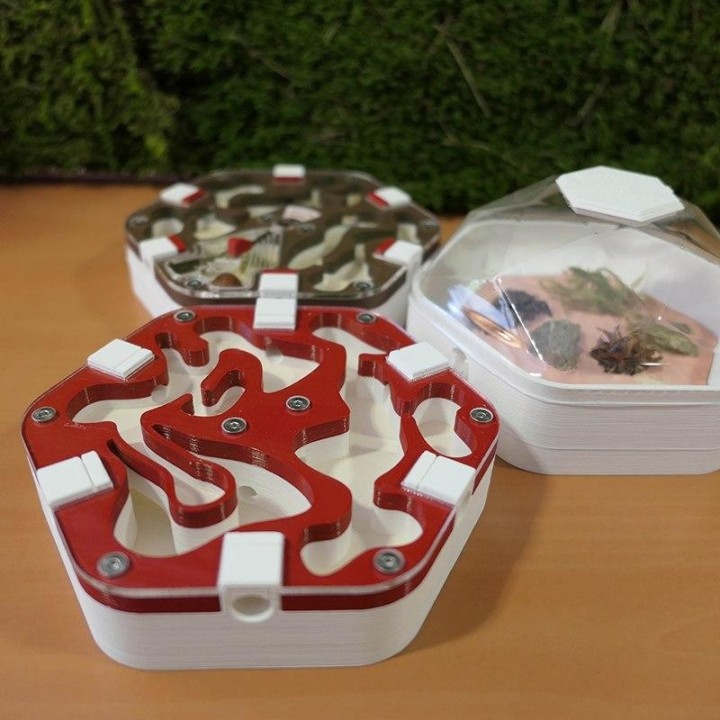 Alveo xera : Fourmilière sèche modulable à vendre | FourmiCurieuse