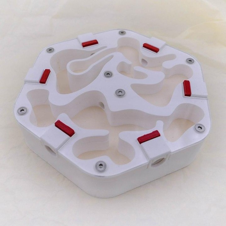 Alveo xera : Fourmilière sèche modulable à vendre | FourmiCurieuse