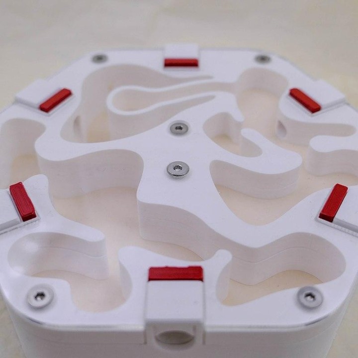 Alveo xera : Fourmilière sèche modulable à vendre | FourmiCurieuse