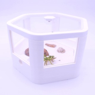 Alveo observa V2 : module d'observation pour fourmis - ADC | FourmiCurieuse