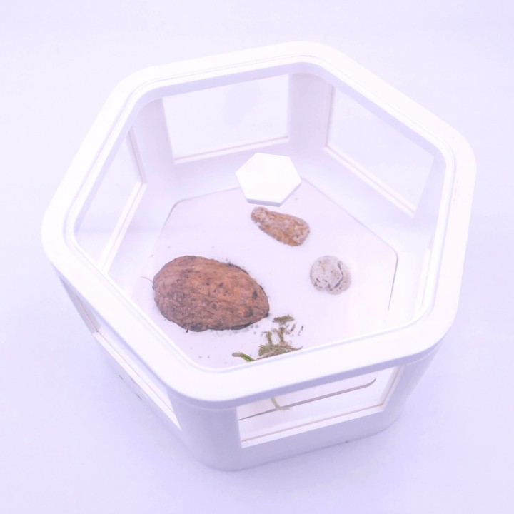 Alveo observa V2 : module d'observation pour fourmis - ADC | FourmiCurieuse