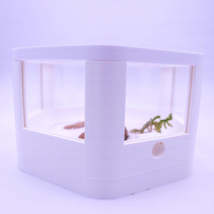 Alveo observa V2 : module d'observation pour fourmis - ADC | FourmiCurieuse