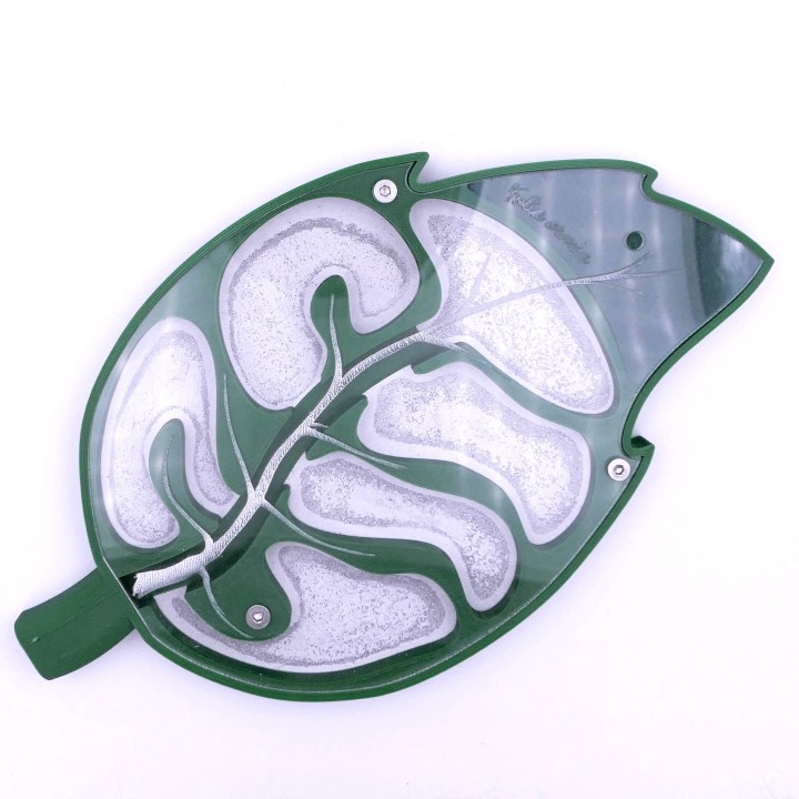 Folia ormia : achetez une fourmilière artificielle modulable | FourmiCurieuse