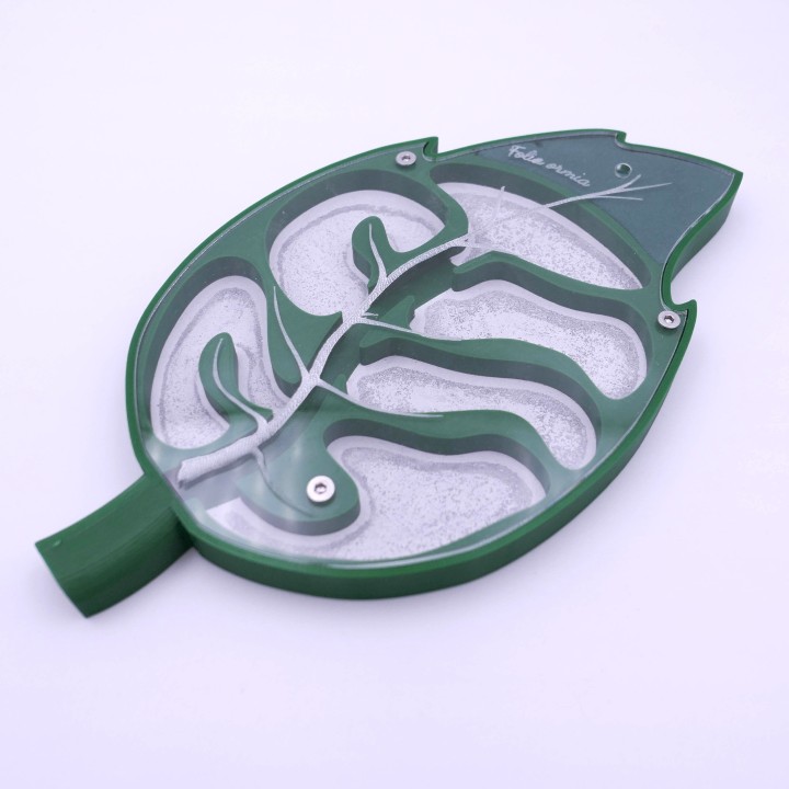 Folia ormia : achetez une fourmilière artificielle modulable | FourmiCurieuse