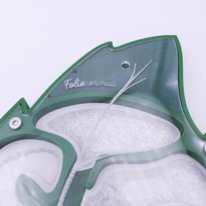 Folia ormia : achetez une fourmilière artificielle modulable | FourmiCurieuse