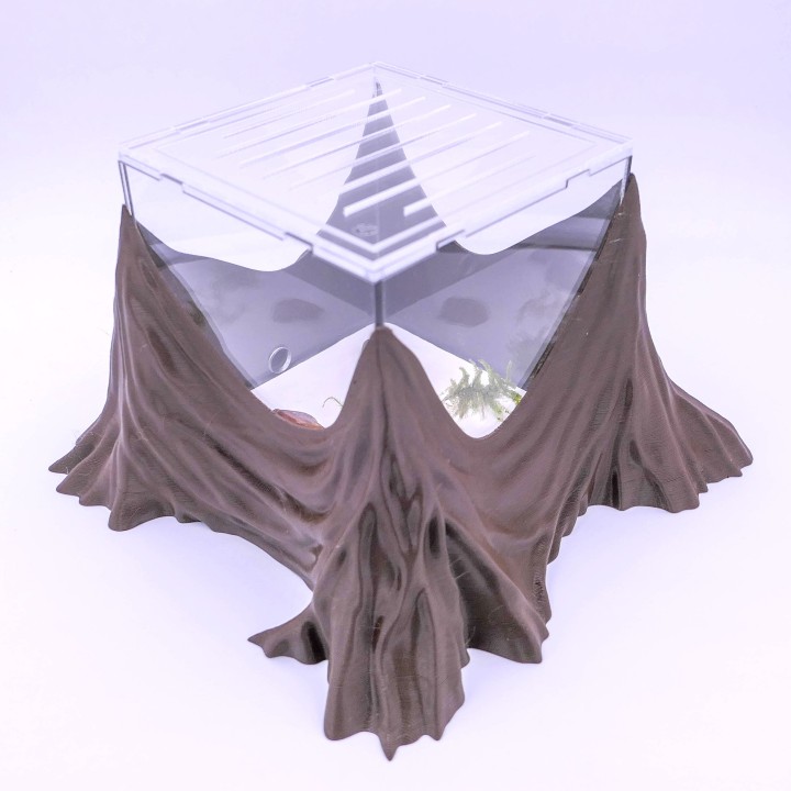 Folia trunca : un espace d'observation pour vous et vos fourmis | FourmiCurieuse