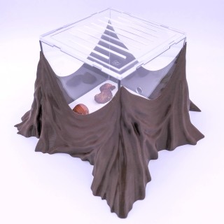 Folia trunca : un espace d'observation pour vous et vos fourmis | FourmiCurieuse