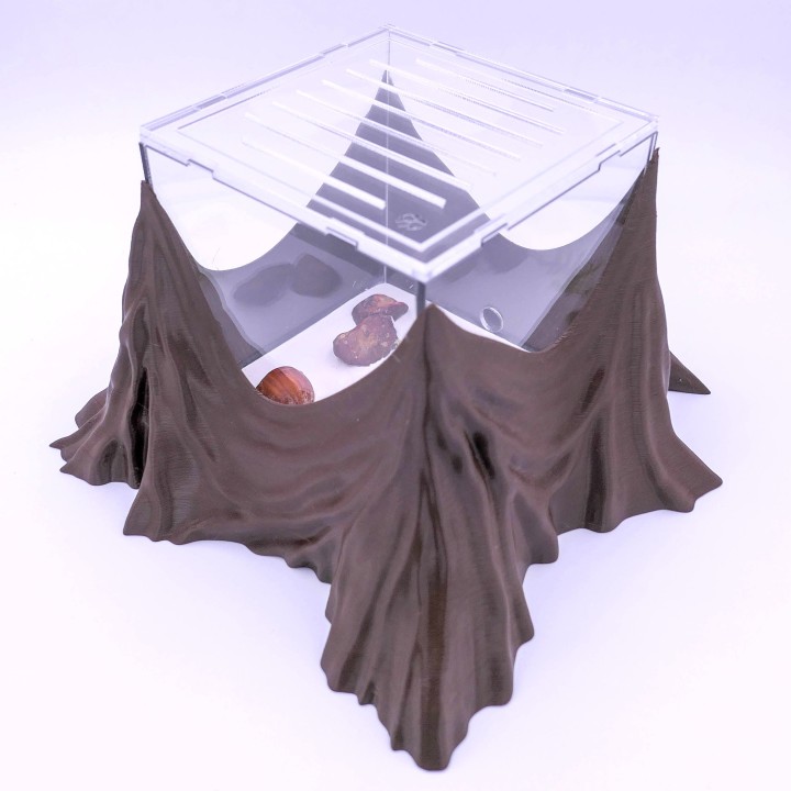 Folia trunca : un espace d'observation pour vous et vos fourmis | FourmiCurieuse