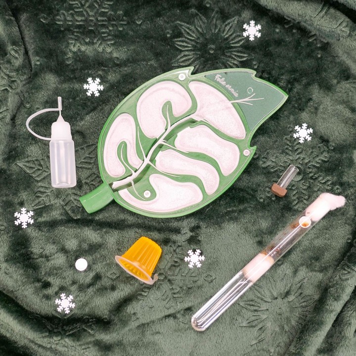 Offre de Noël Folia Fondation 25% de réduction | FourmiCurieuse