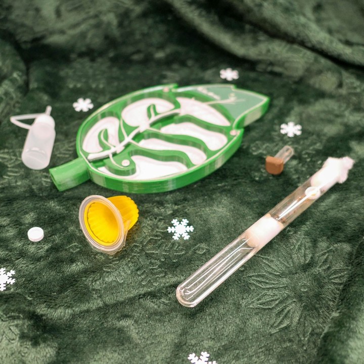 Offre de Noël Folia Fondation 25% de réduction | FourmiCurieuse