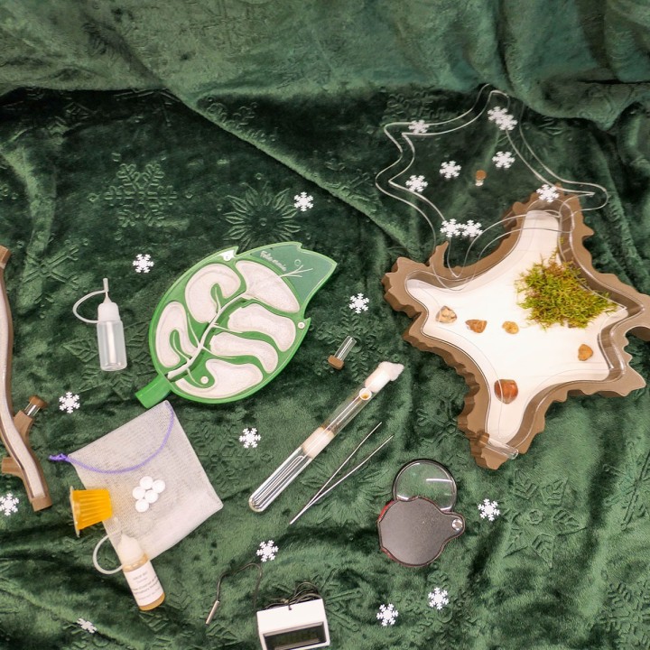 Coffret Folia Découverte | FourmiCurieuse