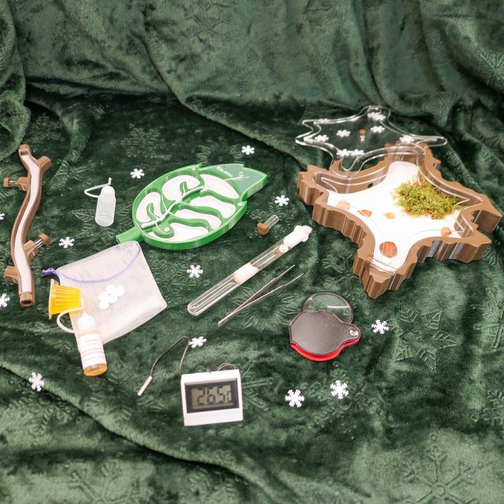 Coffret Folia Découverte | FourmiCurieuse