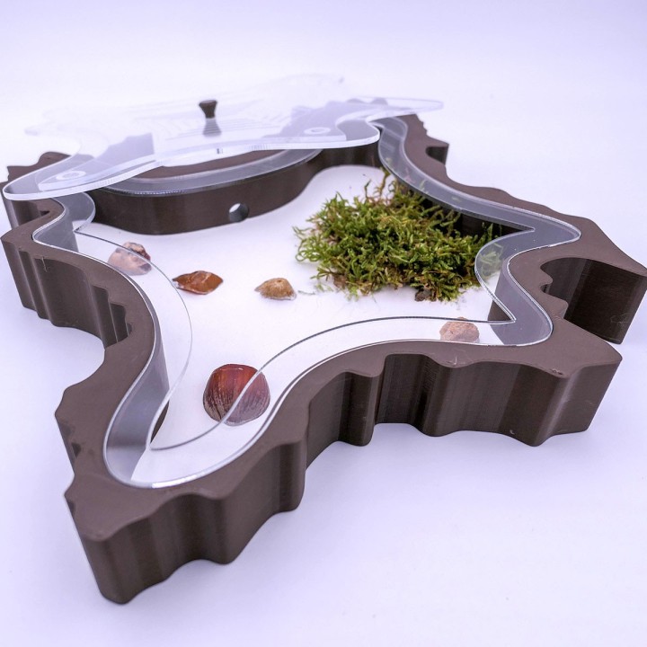 Folia trunca 2D : un espace d'observation pour vous et vos fourmis | FourmiCurieuse