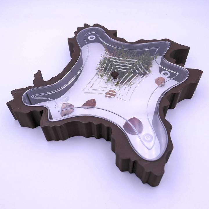 Folia trunca 2D : un espace d'observation pour vous et vos fourmis | FourmiCurieuse