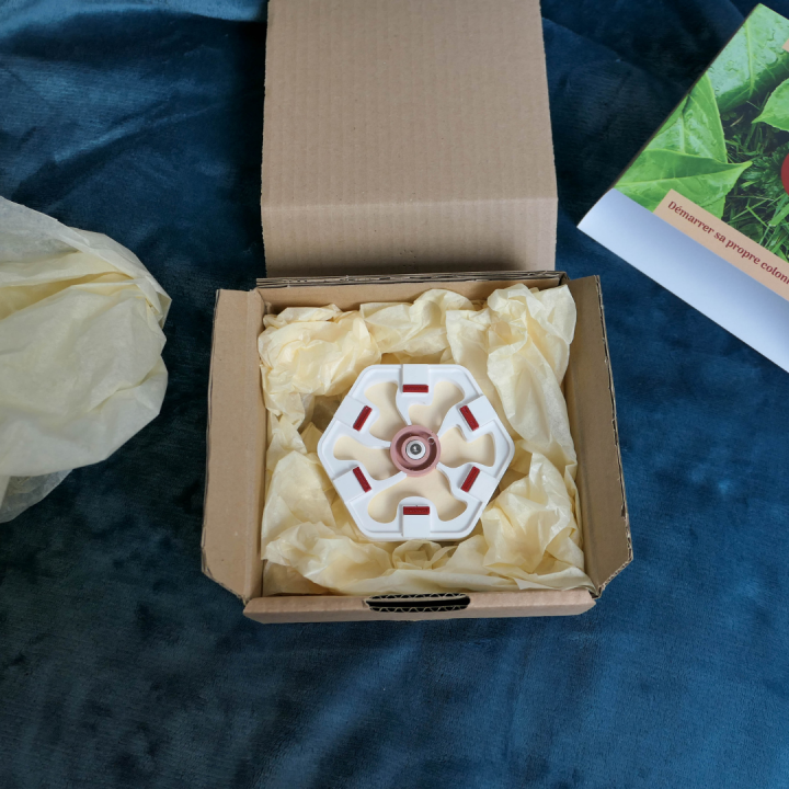 Kit pour essaimages Démarrer sa colonie de fourmis | FourmiCurieuse