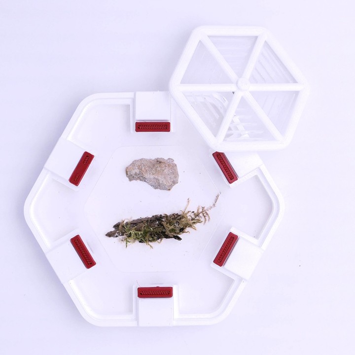 Alveo nano observa : une ADC petit format | FourmiCurieuse