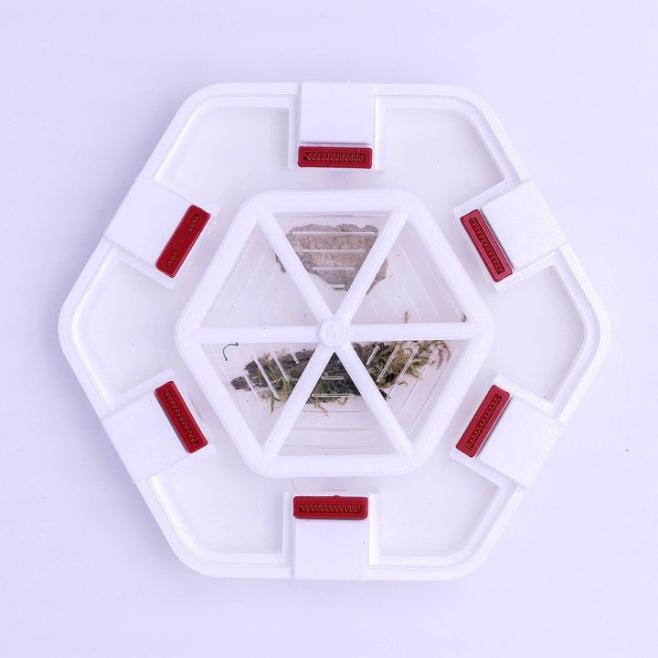 Alveo nano observa : une ADC petit format | FourmiCurieuse