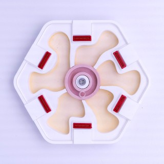 Alveo nano hydra : fourmilière adaptée aux colonies | FourmiCurieuse