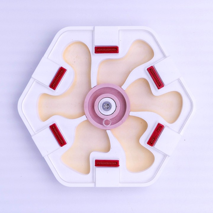 Alveo nano hydra : fourmilière adaptée aux colonies | FourmiCurieuse