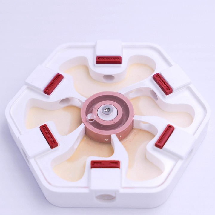 Alveo nano hydra : fourmilière adaptée aux colonies | FourmiCurieuse