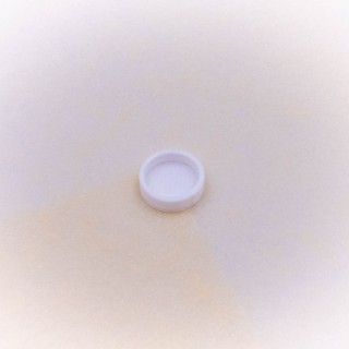 Coupelles lavables pour liquides de fourmis | FourmiCurieuse