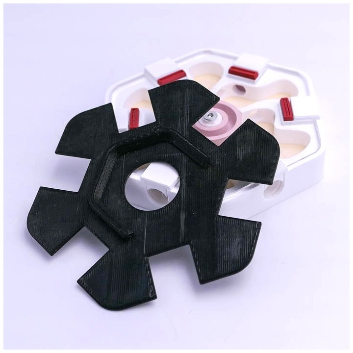 Cache pour fourmilière artificielle | Alveo fonda chez FourmiCurieuse