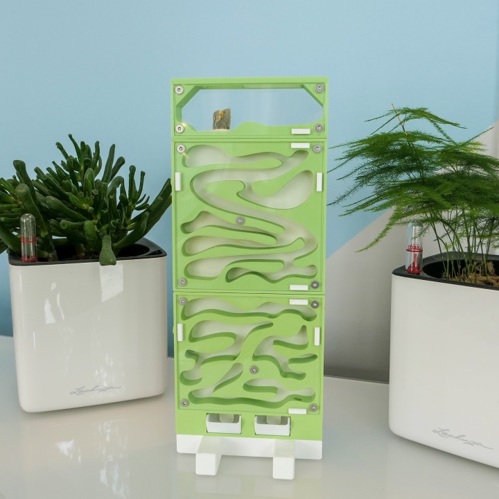 Vertica xera : Fourmilière verticale module sec | FourmiCurieuse