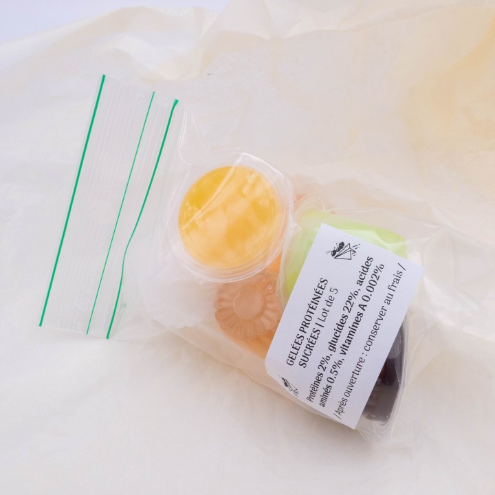 Gélées protéinées sucrées - Unité - lot de 5 - Lot de 10 | FourmiCurieuse