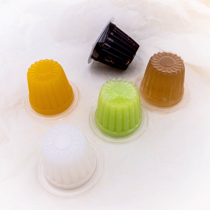 Gélées protéinées sucrées - Unité - lot de 5 - Lot de 10 | FourmiCurieuse