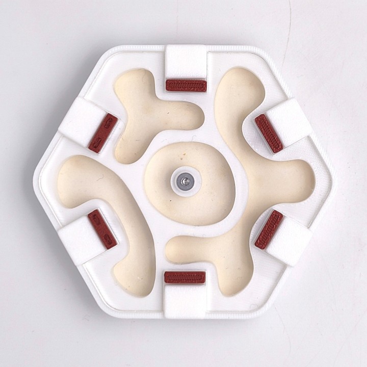 Alveo nano xera : fourmilière adaptée aux colonies | FourmiCurieuse