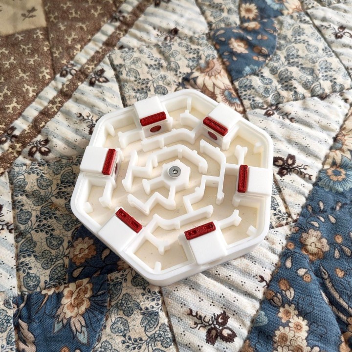 Alveo nano labyrinthe : module d'observation pour fourmis | FourmiCurieuse