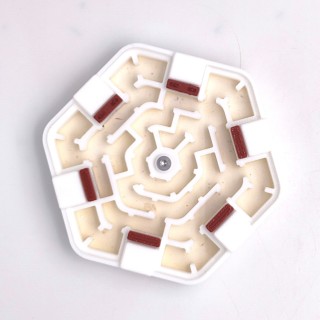 Alveo nano labyrinthe : module d'observation pour fourmis | FourmiCurieuse