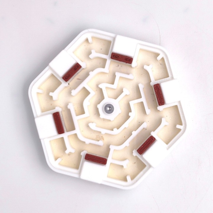 Alveo nano labyrinthe : module d'observation pour fourmis | FourmiCurieuse