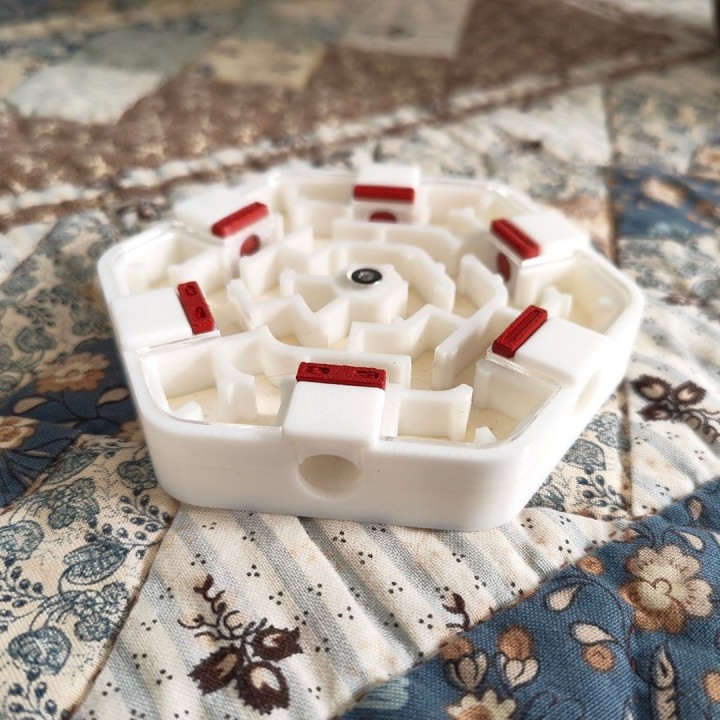 Alveo nano labyrinthe : module d'observation pour fourmis | FourmiCurieuse